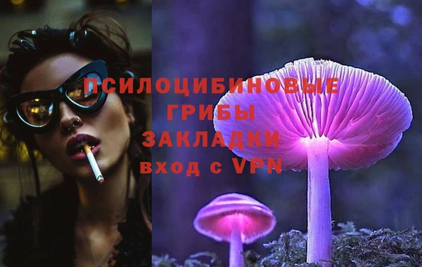амф Инта