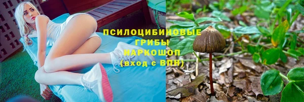 бошки Зерноград