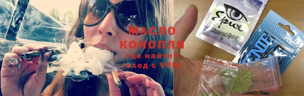 индика Иннополис