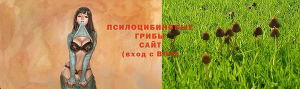 ALPHA PVP Зеленокумск